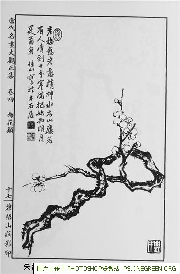 上海车牌哪个字母最好（上海车牌哪个字母最厉害）