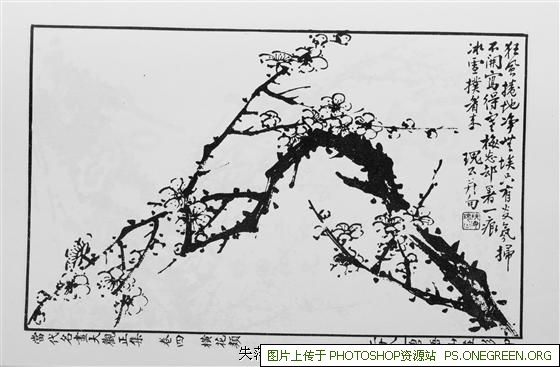 乐斯基上海哪个区好（乐斯基上海太原路）