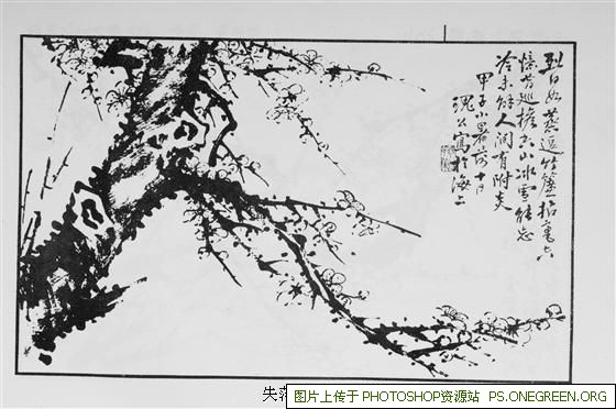 上海hpv疫苗打哪个好（上海hpv疫苗哪个平台预约正规）